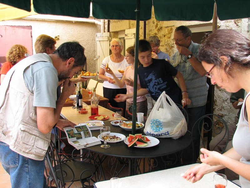 2009 07 Myco Gros taillis 15